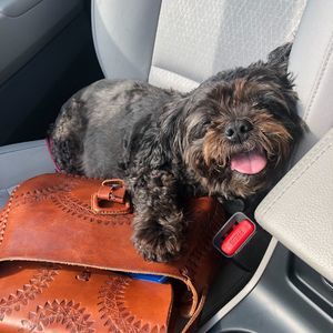 Meet your Posher, Annie